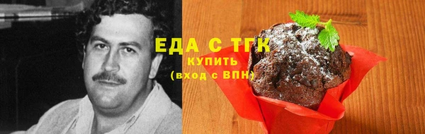 индика Бугульма