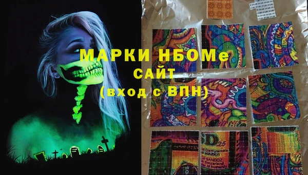 индика Бугульма