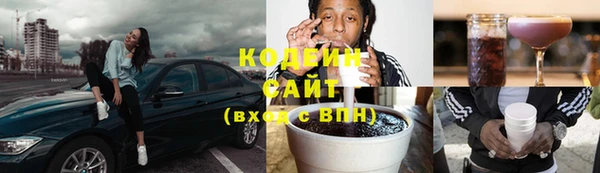индика Бугульма