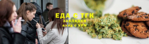 индика Бугульма