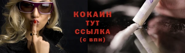 спайс Бородино